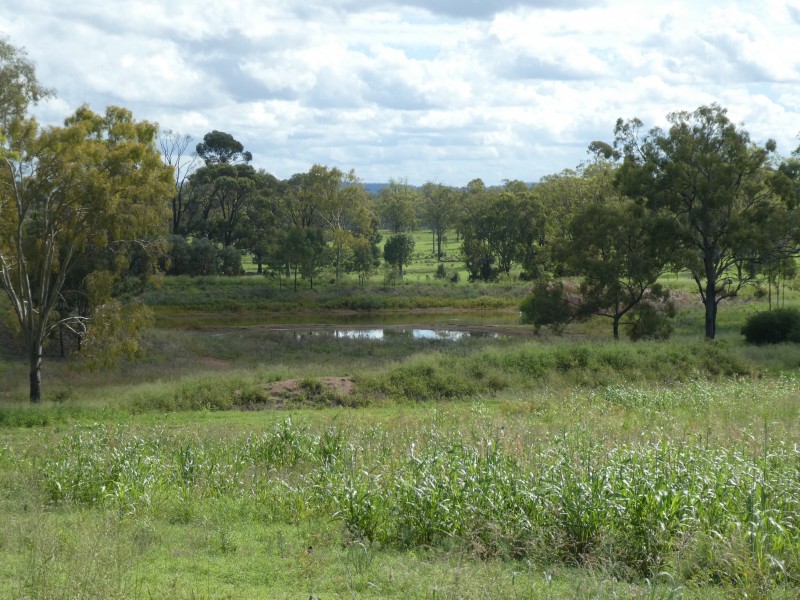 8690 ISIS HIGHWAY, Dallarnil QLD 4621