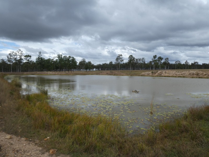 852 Old Gayndah Road, Dunmora QLD 4650