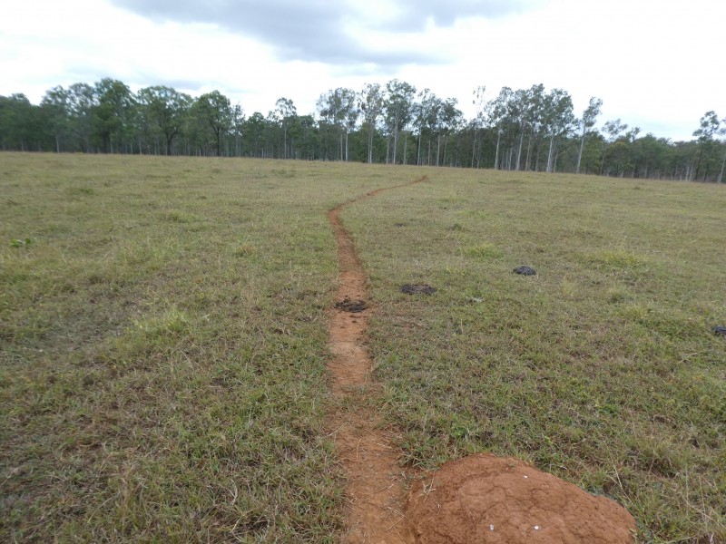 852 Old Gayndah Road, Dunmora QLD 4650