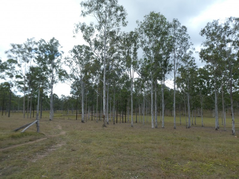 852 Old Gayndah Road, Dunmora QLD 4650