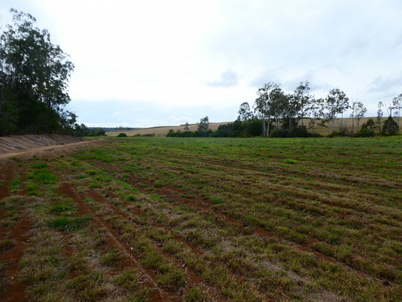 73 WHITEBRIDGE ROAD, North Isis QLD 4660