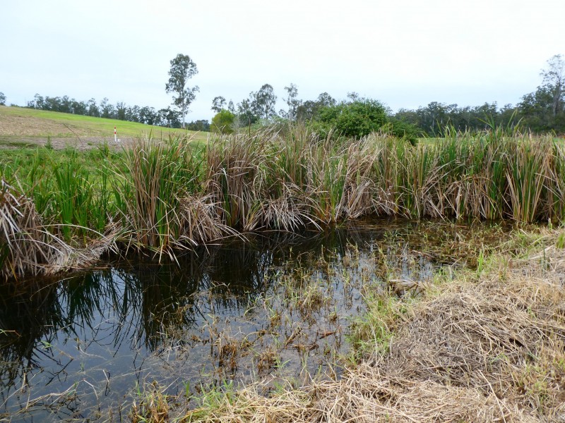 73 WHITEBRIDGE ROAD, North Isis QLD 4660