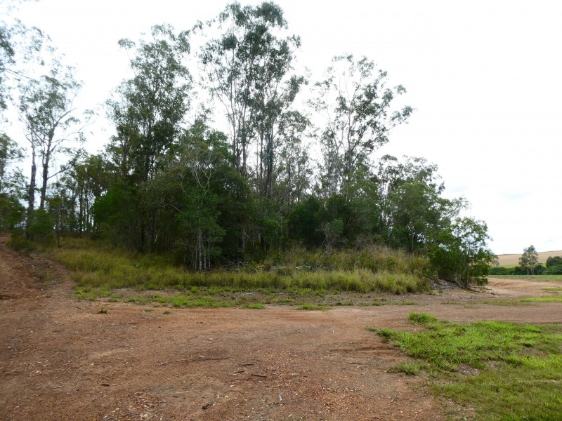 73 WHITEBRIDGE ROAD, North Isis QLD 4660