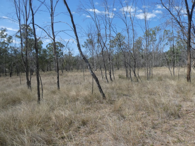 2248 HAWKWOOD ROAD, Dykehead QLD 4626