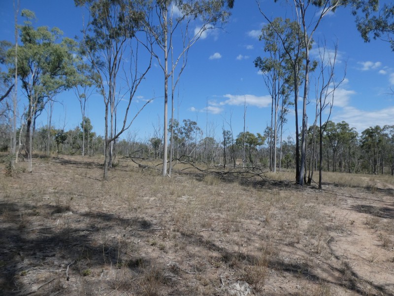 2248 HAWKWOOD ROAD, Dykehead QLD 4626