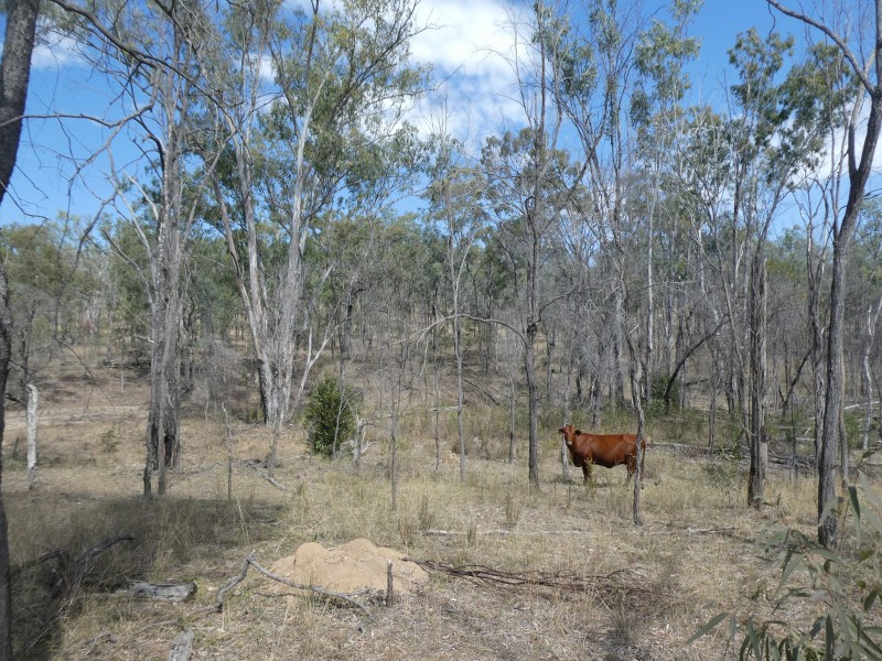 2248 HAWKWOOD ROAD, Dykehead QLD 4626