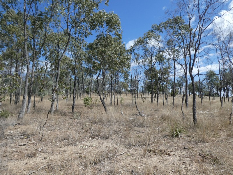2248 HAWKWOOD ROAD, Dykehead QLD 4626