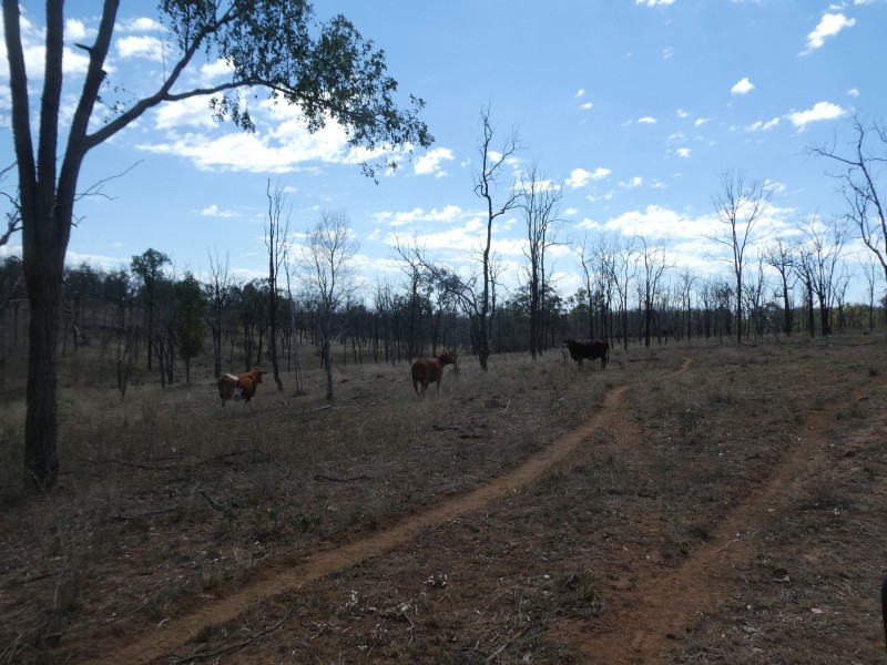 2248 HAWKWOOD ROAD, Dykehead QLD 4626