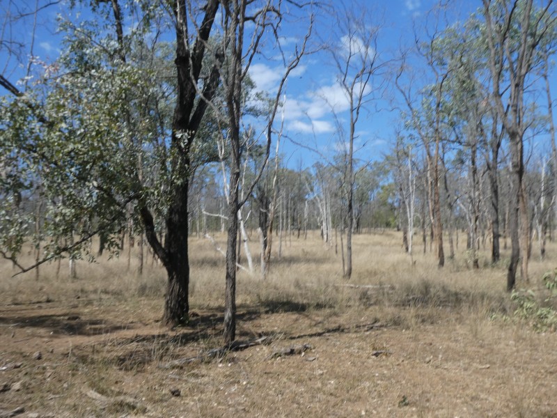 2248 HAWKWOOD ROAD, Dykehead QLD 4626