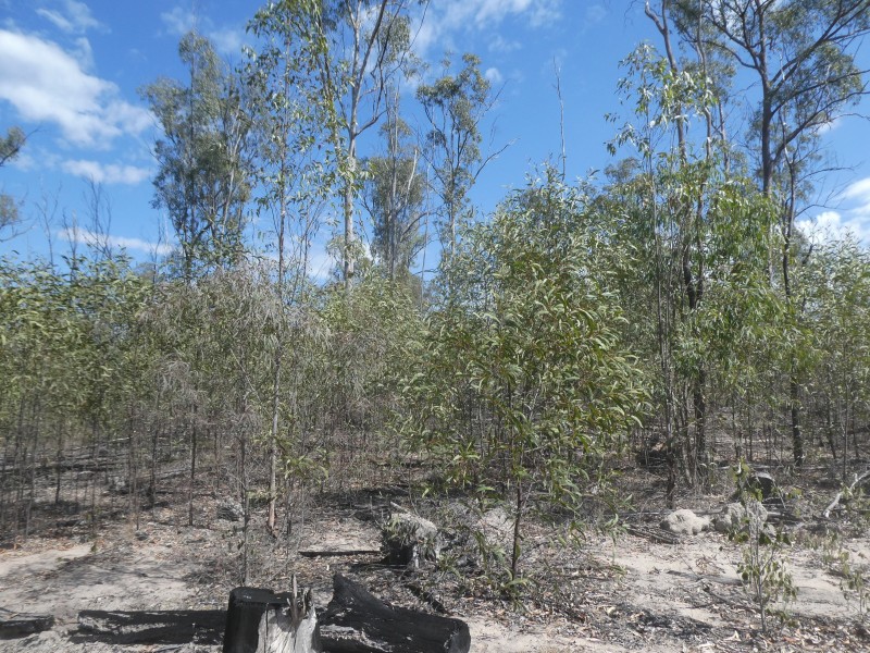 2248 HAWKWOOD ROAD, Dykehead QLD 4626