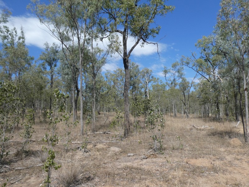 2248 HAWKWOOD ROAD, Dykehead QLD 4626
