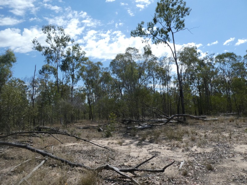 2248 HAWKWOOD ROAD, Dykehead QLD 4626