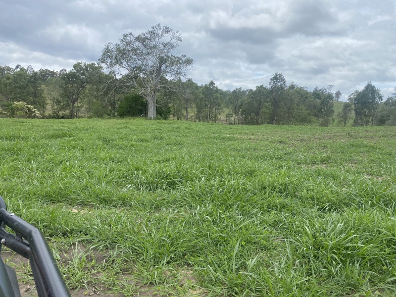 Mount Perry QLD 4671