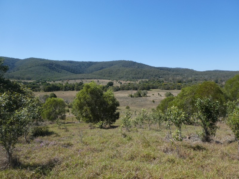 173 RED HILL ROAD, Woowoonga QLD 4621