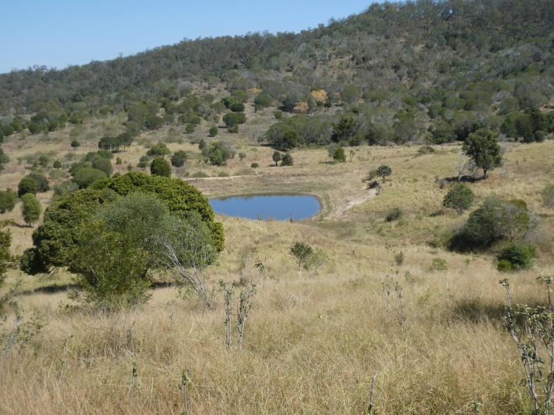 173 RED HILL ROAD, Woowoonga QLD 4621