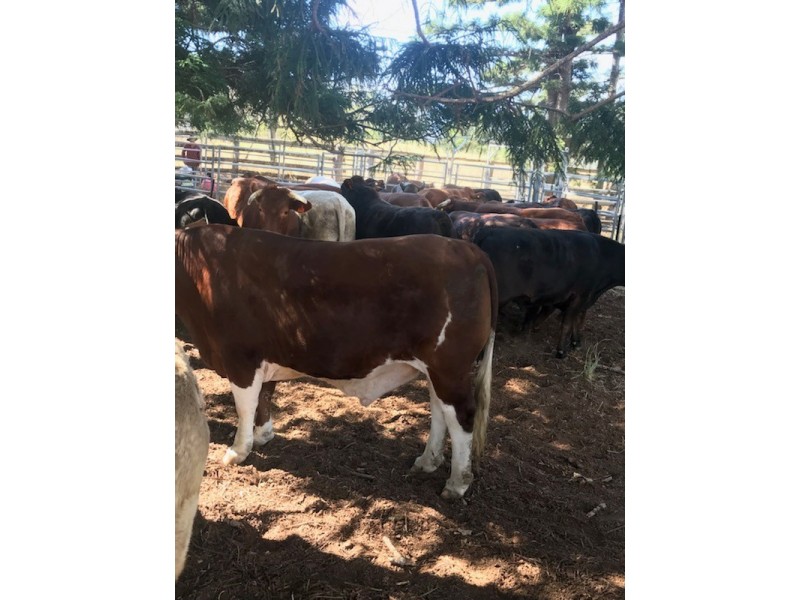 173 RED HILL ROAD, Woowoonga QLD 4621