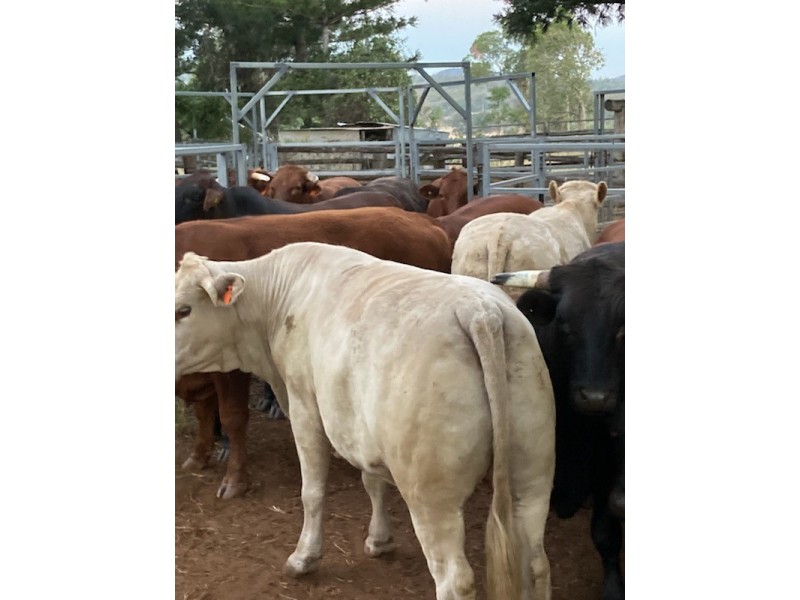 173 RED HILL ROAD, Woowoonga QLD 4621