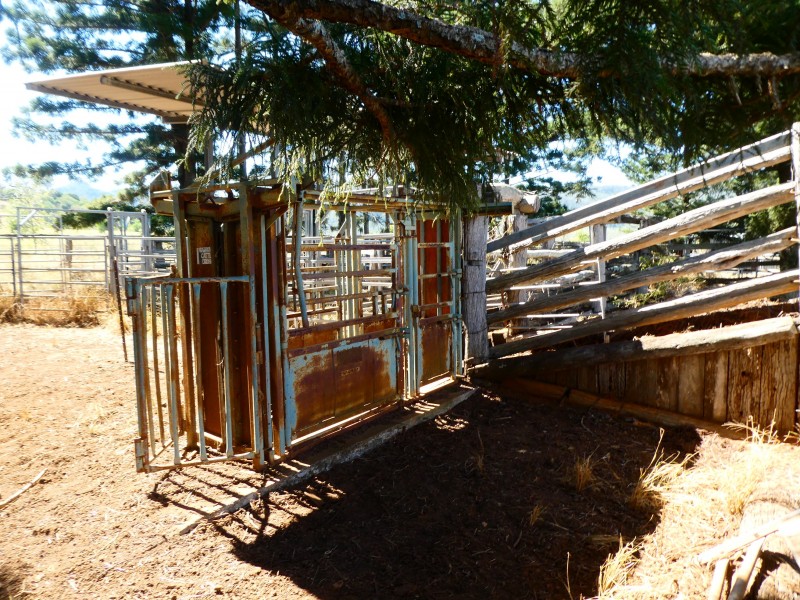 173 RED HILL ROAD, Woowoonga QLD 4621