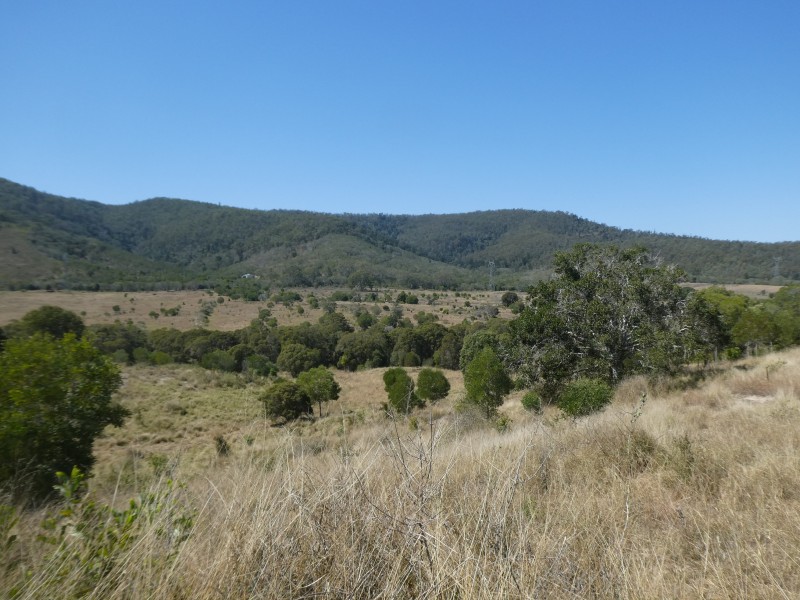 173 RED HILL ROAD, Woowoonga QLD 4621