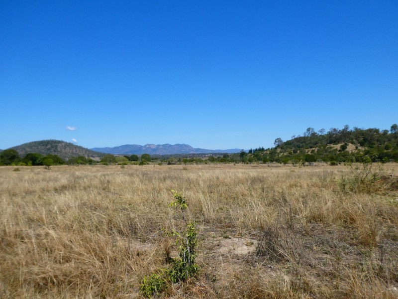 173 RED HILL ROAD, Woowoonga QLD 4621