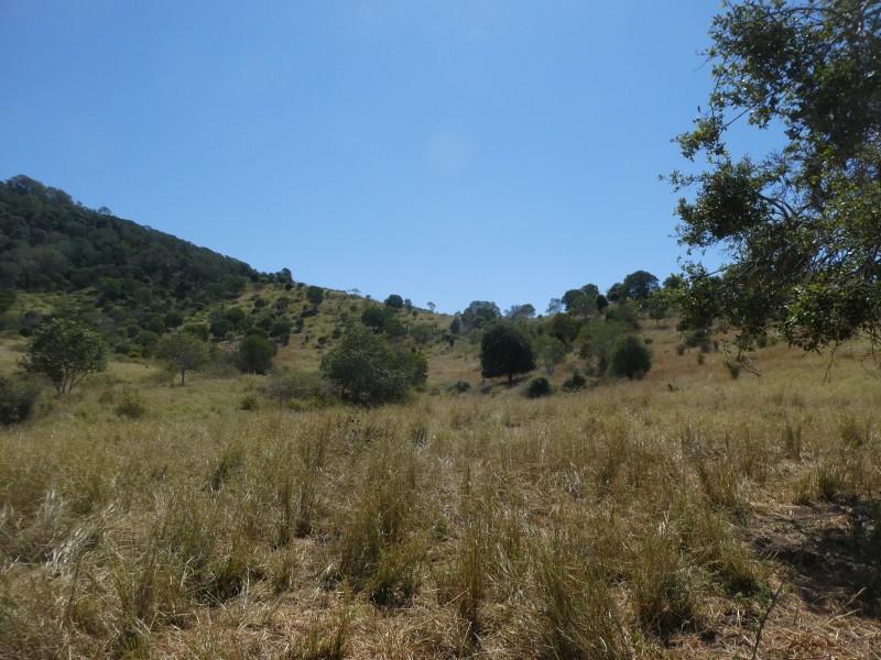 173 RED HILL ROAD, Woowoonga QLD 4621