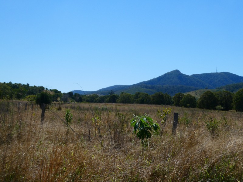 173 RED HILL ROAD, Woowoonga QLD 4621