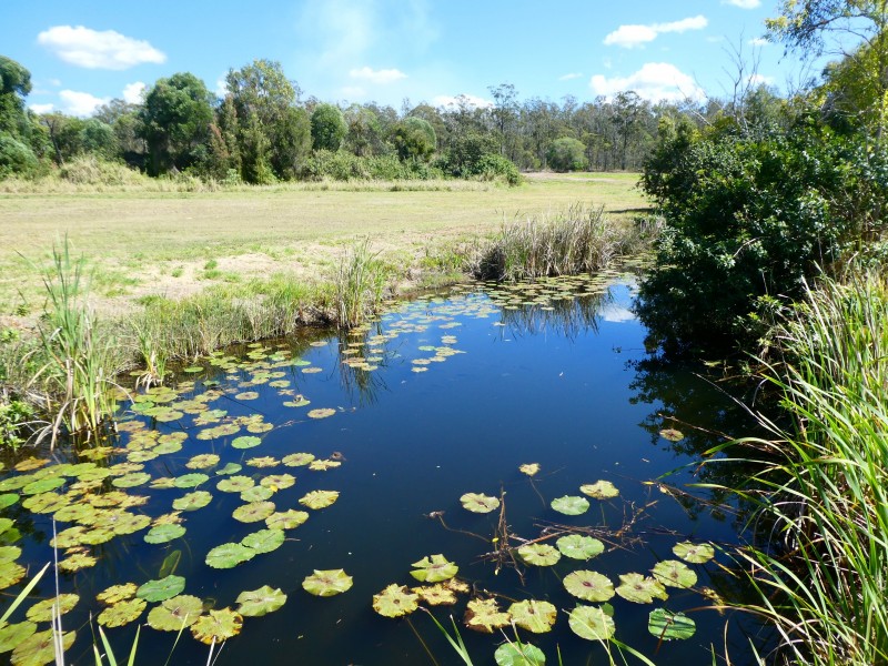 L15 STOCKYARD ROAD, North Isis QLD 4660