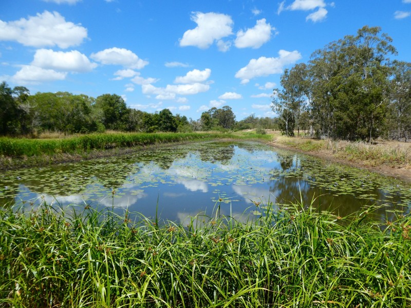 L15 STOCKYARD ROAD, North Isis QLD 4660