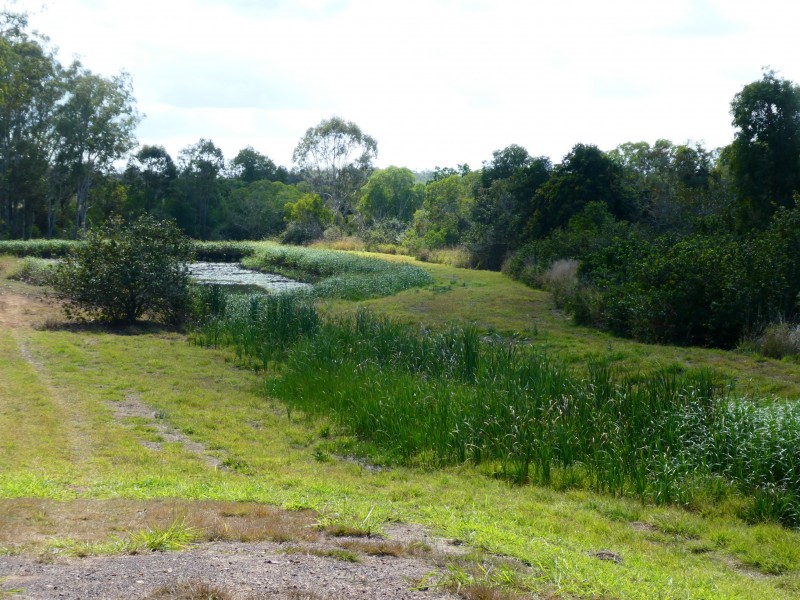 L15 STOCKYARD ROAD, North Isis QLD 4660