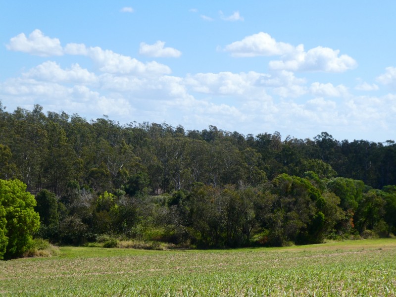 L15 STOCKYARD ROAD, North Isis QLD 4660