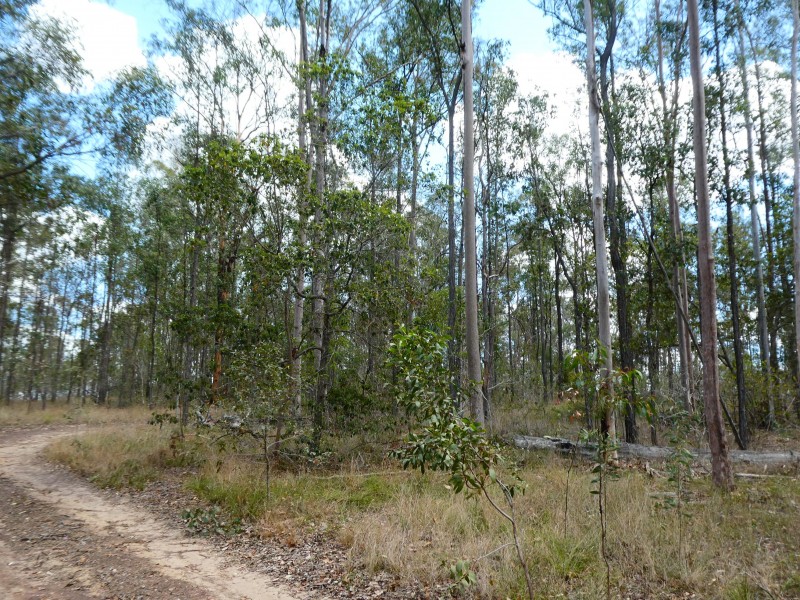 L15 STOCKYARD ROAD, North Isis QLD 4660