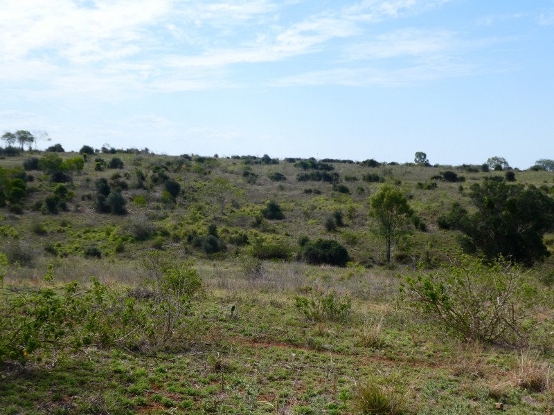 L1 Gospel Hall Road, Dallarnil QLD 4621