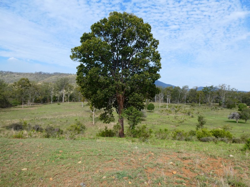 L1 Gospel Hall Road, Dallarnil QLD 4621