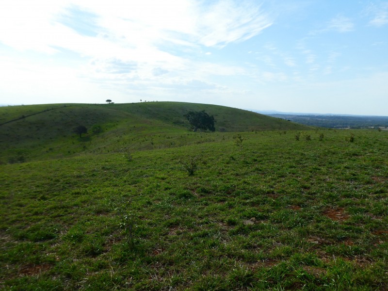 L90 GOSPEL HALL ROAD, Dallarnil QLD 4621