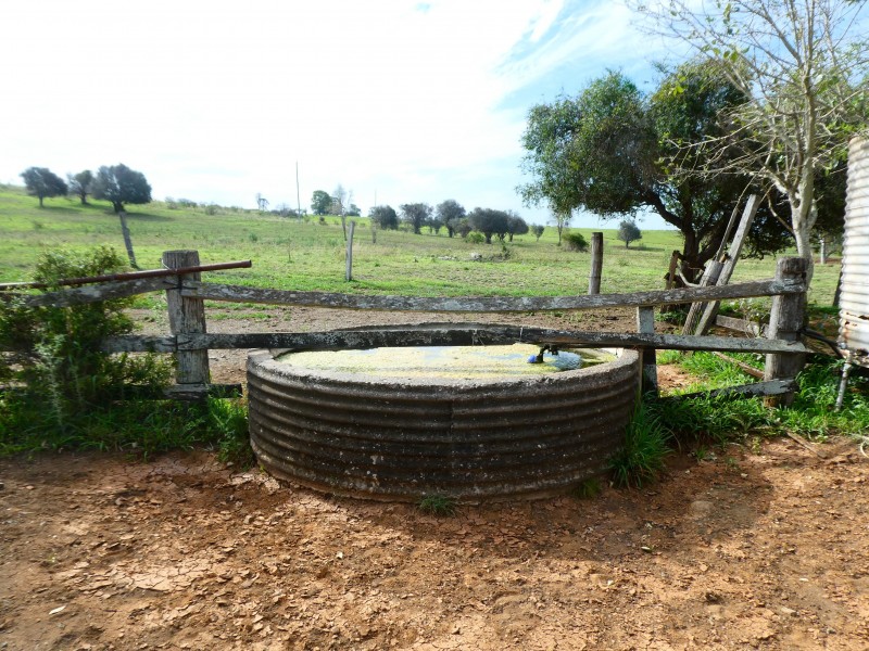 L90 GOSPEL HALL ROAD, Dallarnil QLD 4621