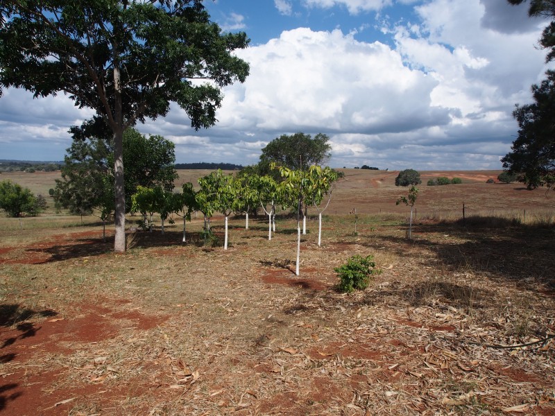 378 HUXLEY ROAD, North Isis QLD 4660
