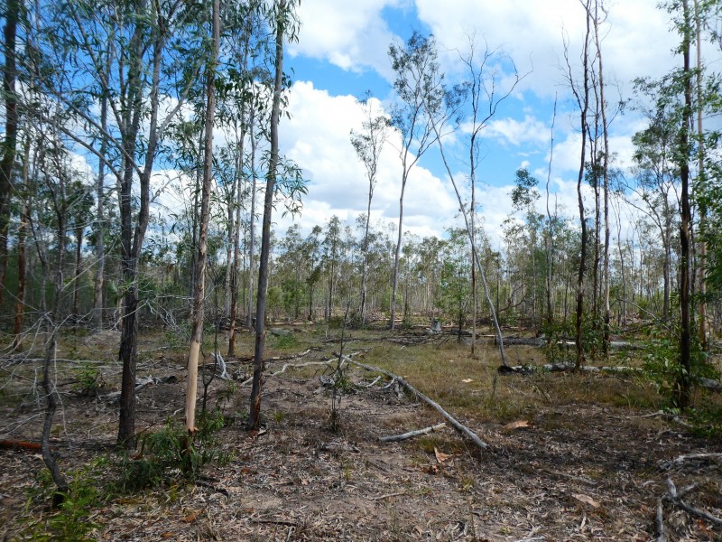 115/L GIGOOMGAN ROAD, Brooweena QLD 4620