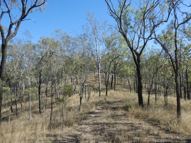 Coalstoun Lakes QLD 4621