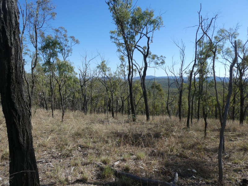 Coalstoun Lakes QLD 4621