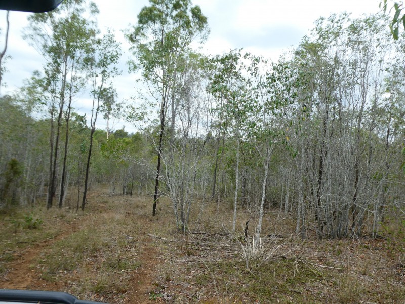Booyal QLD 4671