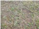 Booyal QLD 4671