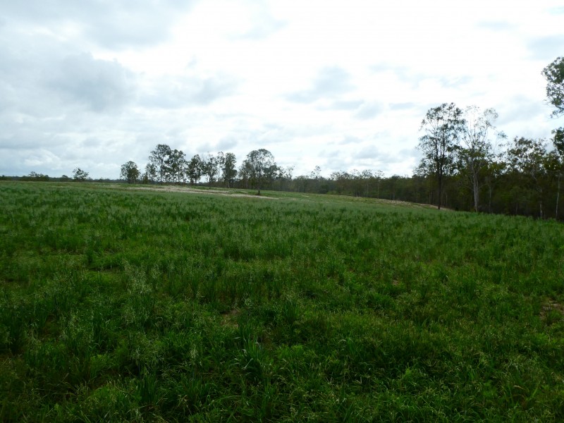 Promisedland QLD 4660