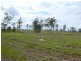 Promisedland QLD 4660