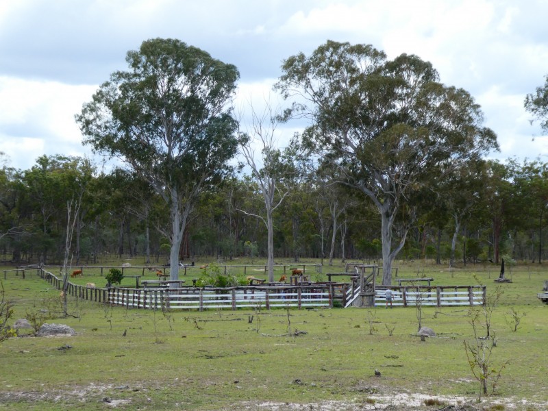 Golden Fleece QLD 4621