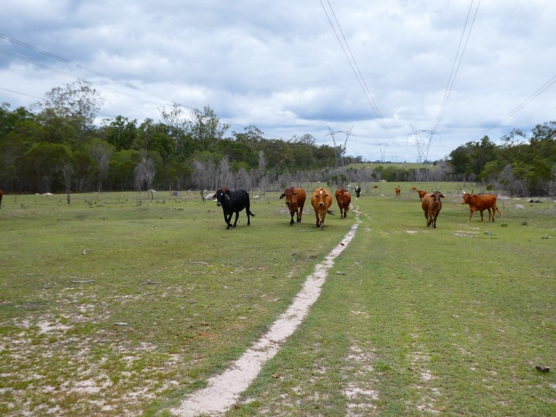 Golden Fleece QLD 4621