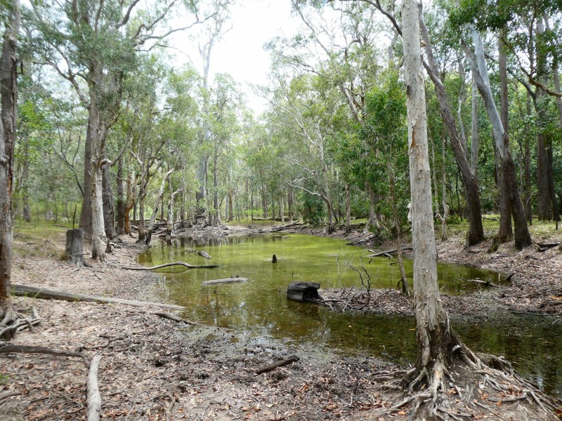 Golden Fleece QLD 4621