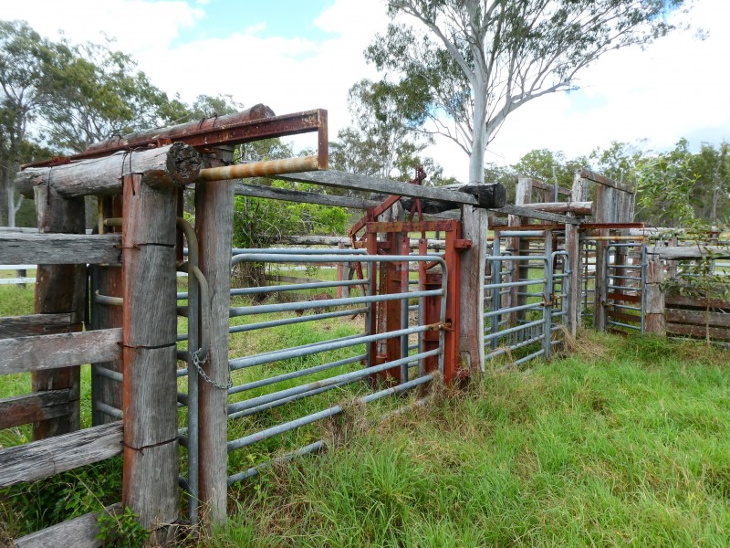 Golden Fleece QLD 4621