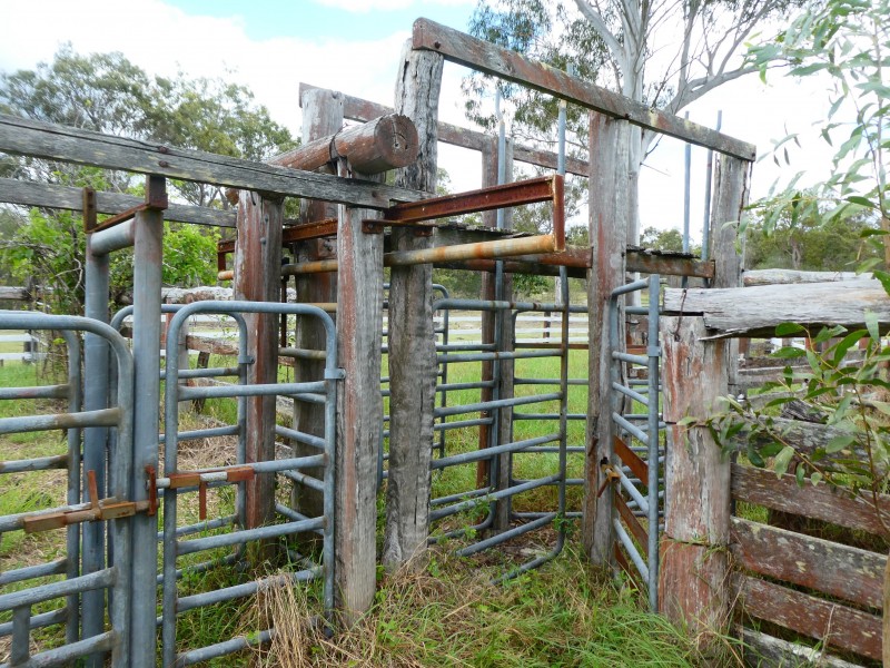 Golden Fleece QLD 4621