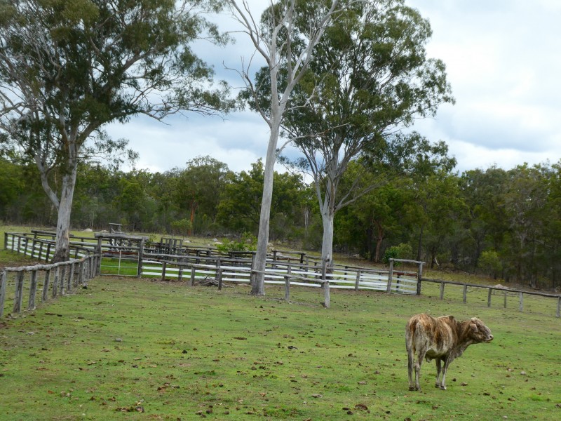Golden Fleece QLD 4621