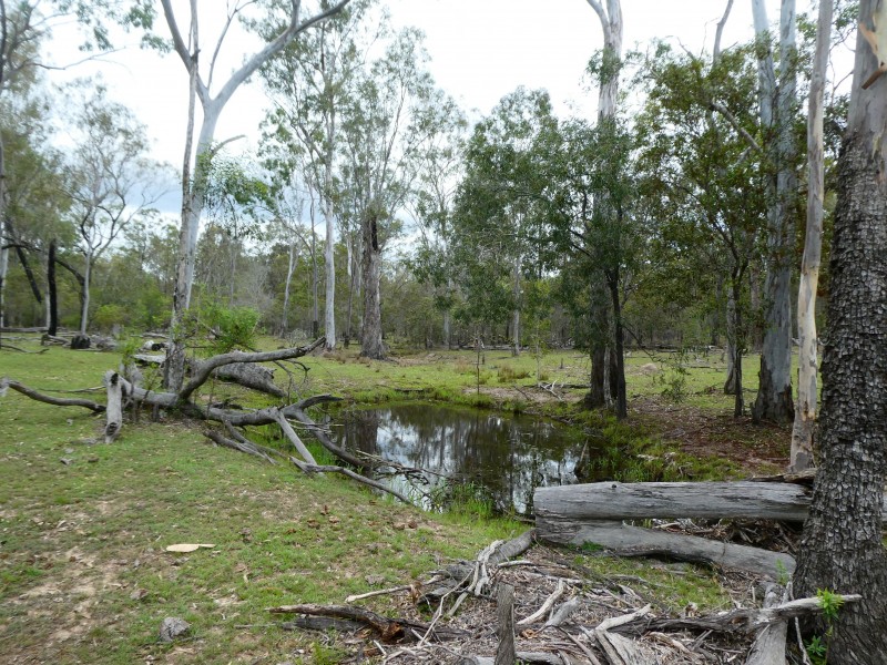 Golden Fleece QLD 4621